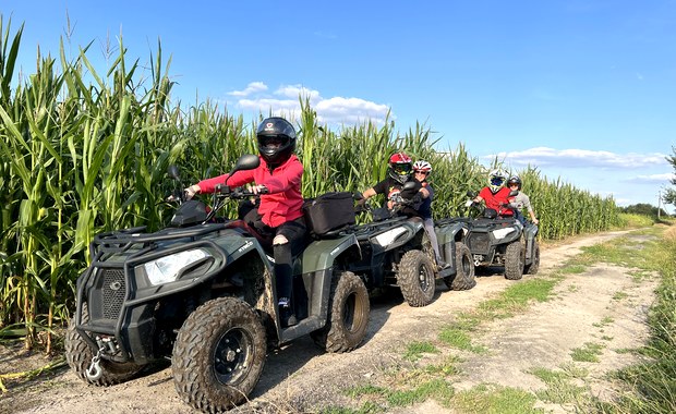 Uczestnicy jadący quadami polną trasą obok pola kukurydzy