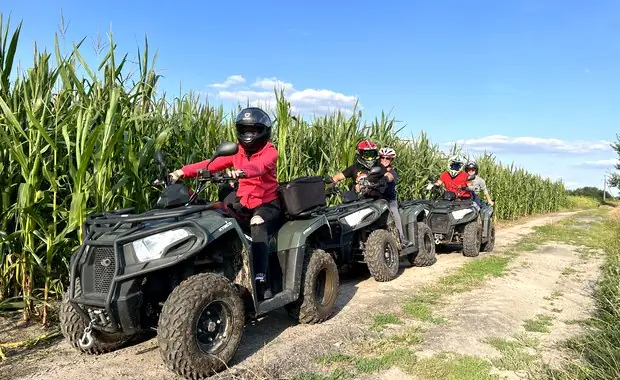 Uczestnicy jadący quadami polną trasą obok pola kukurydzy